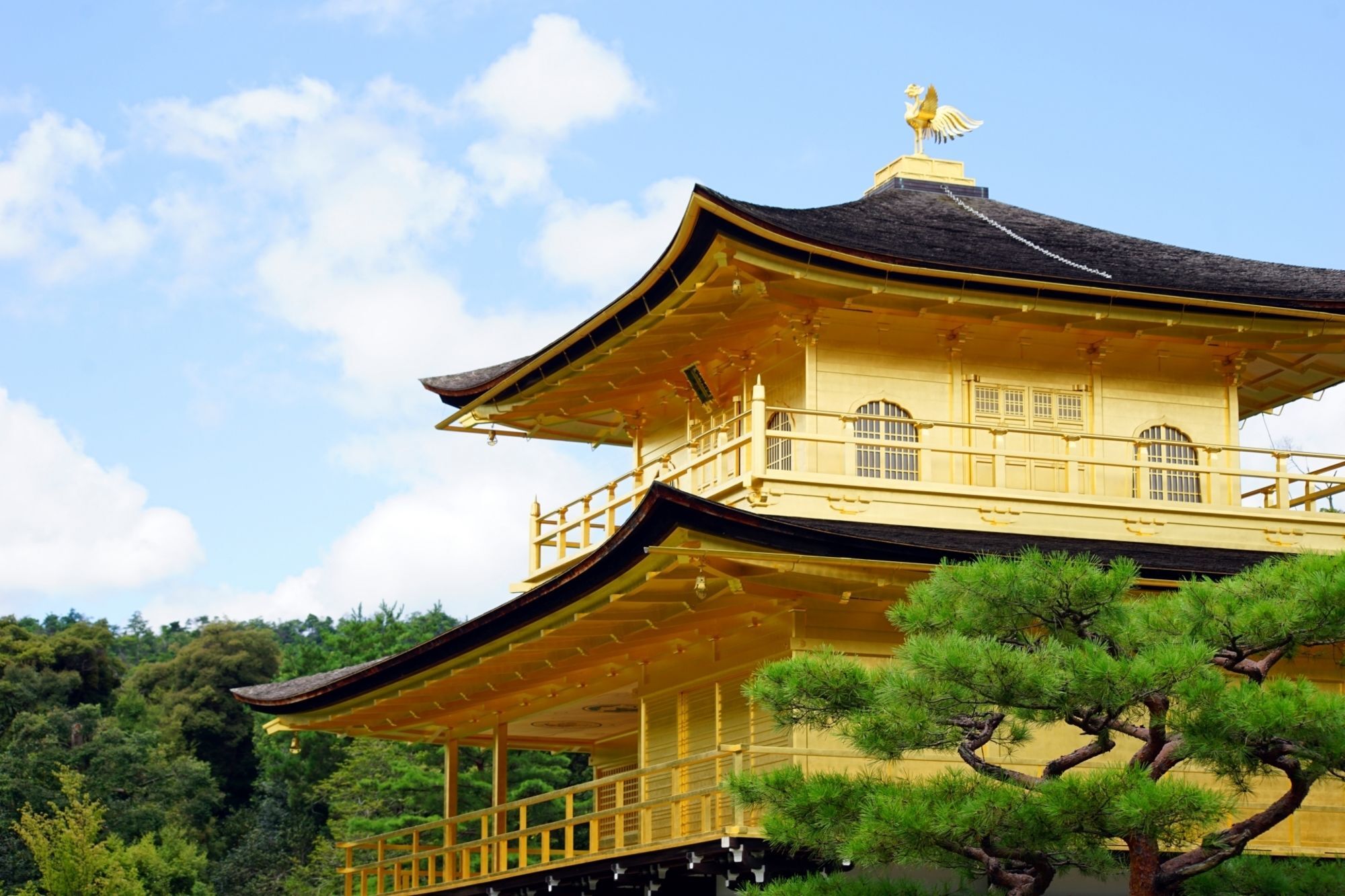 Stay Sakura Kyoto Zen Εξωτερικό φωτογραφία